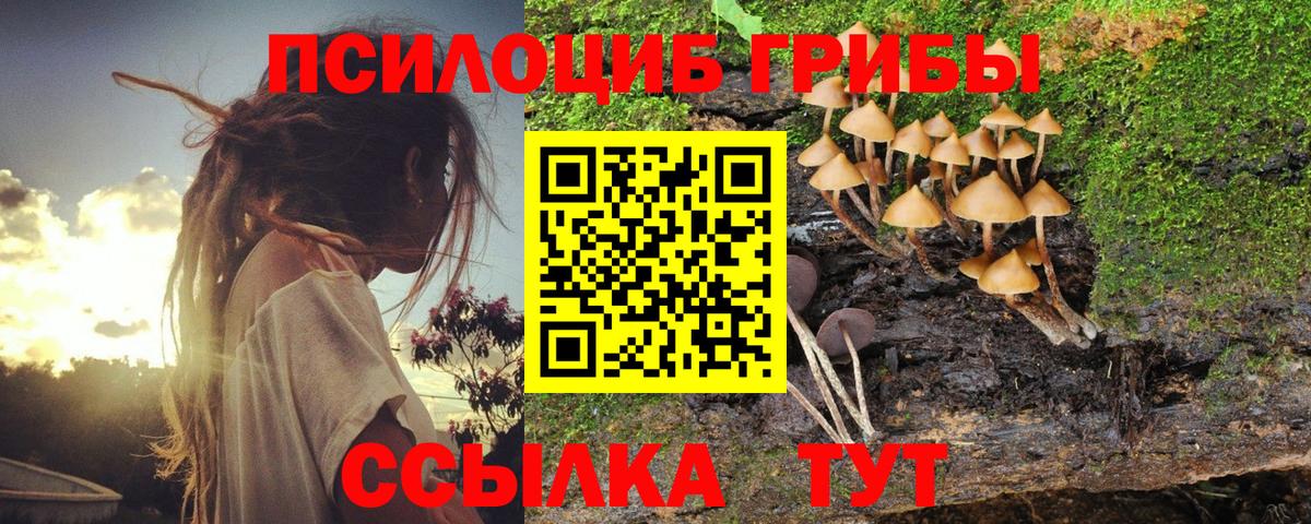 Псилоцибиновые грибы Magic Shrooms Георгиевск